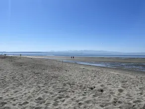 South Whidbey Island Ocean View Beach House with Beach Access - Image 5