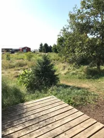 Grinnell Heritage Tiny House - On Organic Farm - Image 4