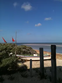Sparkling Beachfront Pool TV satelital y WIFI - Image 5