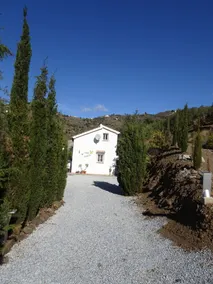 Fritliggende finca med havudsigt og pool - Image 4