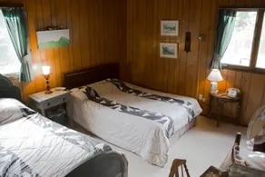 Adirondack Chalet med utsikt - Image 3