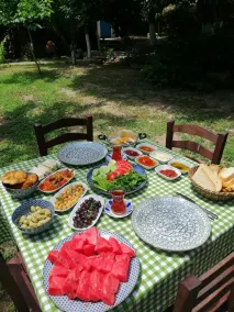 Mustafa'nin Fidan'i - Image 5