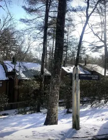 Cozy Cabin with fireplace and screened in porch in Sapphire Valley. - Image 4
