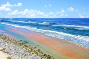 Fabulous oceanfront home with ocean view, WiFi, washer/dryer, & central AC - Image 5