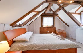 Luxurious home in Sveti Ivan Zelina - Image 4