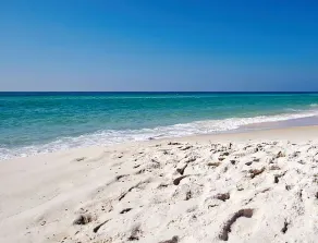 Ramsgate 3 på 30A ☀Ground Floor Beach Front♥OPEN maj 13 til 16 $ 689! Seacrest Bch - Image 4