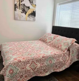 Perfect Little 2 Bedroom Basement apartment - Image 4