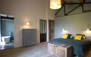 Beautiful house between vineyards and orchards - Image 4