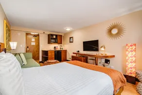 Fully Remodeled, Affordable, & Quality Waikiki Studio—4min walk to Waikiki Beach - Image 4