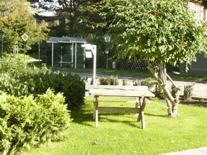 Small apartment with large conservatory. For up to 3, maximum 4 guests. - Image 5