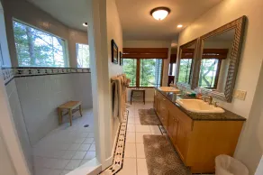 Lake Michigan craftsman beach house near Cross Village-sleeps 10 - Image 2
