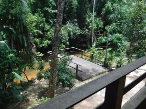 A true paradise. - Image 5