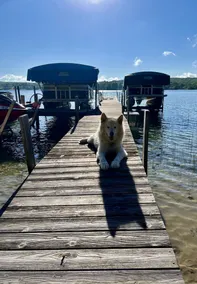 Beautiful Walloon Lake Cottage w/ Beach, Dock, FirePit - Image 2