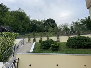 Luxury Villa for extended families, pet-friendly - Image 3