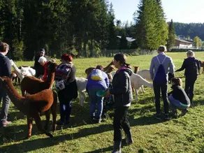 Type A forbundet med stue - Landhaus Seerose - Image 5