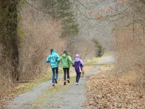 Serene, Cozy Cabin Nestled on the Greenbrier River Trail. - Image 2