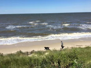 Private Beach Front, Water Front, Pet Friendly, Enjoy the Amazing Sunsets - Image 4