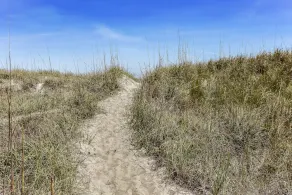 Come relax in the gentle ocean breeze at the only oceanfront motel on Amelia Island, FL. Our rooms provide a clear view of the ocean, as well as, direct access to the Atlantic Ocean. No streets to cross or cars to dodge, just you, your family, and th - Image 3