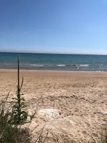 Bright and Cheerful Lake Front Beach Cottage - Image 2