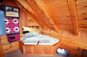 Love Shack honeymoon cabin that is stairway to the stars! - Image 4