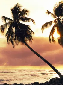 PRIVATE GARDEN SUITE - SURF-RELAX - Image 5