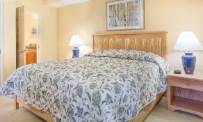 Beautiful hotel in Vermont Smugglers Notch 2BD near Disc Golf Center - Image 4