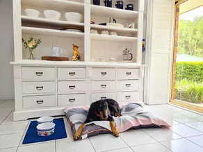 Comfortable pet friendly family home, 12 min to BNE terminals, 5 to Nudgee Beach - Image 2
