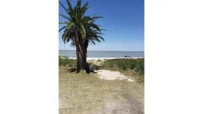 Heaven On Earth WaterFront Party House   HIDDEN GEM In The Best Part Of Rockport - Image 4