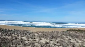 Beach House Located On the Beautiful Monterey Bay - Image 4
