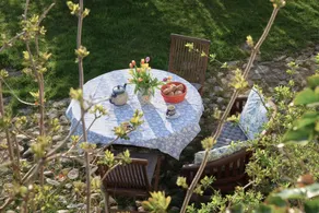 Enjoy your holidays in the historic, romantic windmill Catharina - Image 3