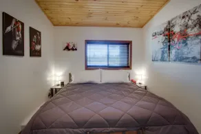 Private Hot Tub, King Size Bed Crystal Mountain 17 miles, Traverse City Sleeps 4 - Image 4