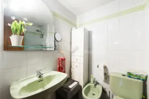 MAGNIFICENT HOUSE WITH GARDEN IN MADRID 10 PAX - WIFICasa with garden VT353 - Image 5