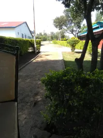 Brisa Caribbean - Image 2