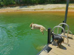 Familienfreundliches Haus am Lake Hartwell! - Image 4