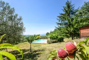 Villa with private pool 80 kms northern of Rome and 30 from Orvieto. 5 bedrooms - Image 5