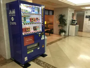 Kashiwa Plaza Hotel - Image 2