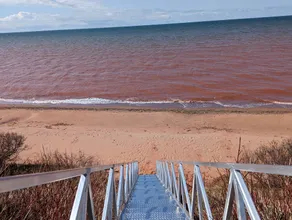 Vacation on 350 feet private beachfront - Image 4