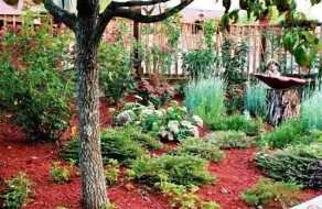 2BR Wohnung umgestaltet Great Smokey Mountains Dollywood Old Mill 4. Juli - Image 4