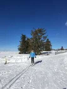 Chaletde montagne indépendant en Alsace Massif du Champ du Feu - Station de Ski - Image 2
