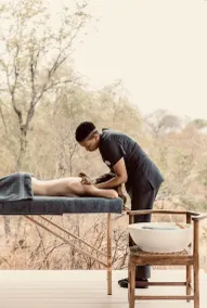 Thornybush Game Lodge - Image 2