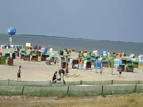 Appartamento con giardino, terrazza e griglia - Image 4