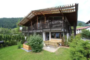 Apartment in Kirchdorf am Wilden Kaiser - Image 4
