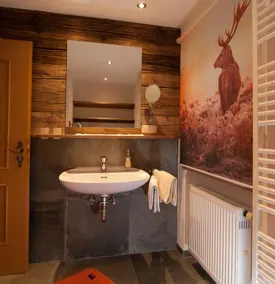 (4) Unterberg Zwei-Raum-FeWo 38qm, Dusche/WC, Extra-Schlafraum, Küche, Balkon - Image 2