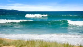 Kirby's Berrara Beach House - Image 5
