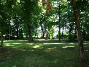 Rental at the foot of the Vercors - Image 5