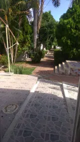 BEAUTIFUL. HOUSE THE. SUMMER - Image 4