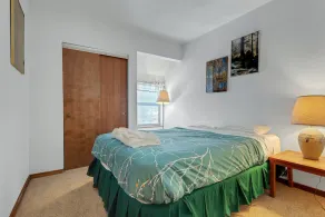 Year Round Condo- Sleeps 5! - Tamarack #17 - Image 5