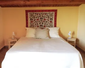 Villa with a garden just 250 meters from the golden beaches of Playa Grande - Image 4