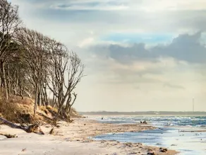 Vacation home Strandperle - Image 4