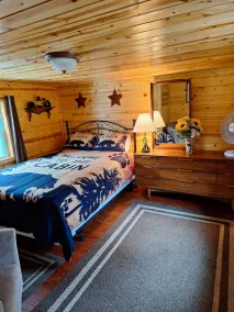 Cabin tucked into the woods! Trail access for ATV/UTV & snowmobiles.            - Image 4